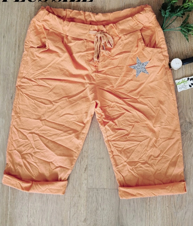 GRANDE TAILLE Bermuda étoile