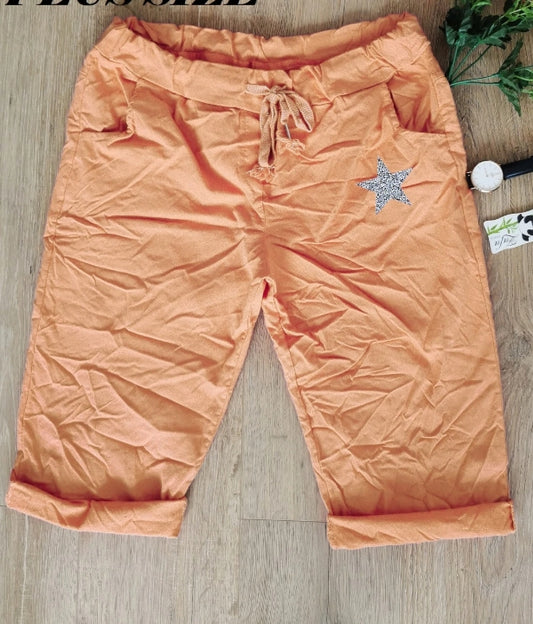 GRANDE TAILLE Bermuda étoile